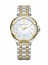AI1006-PVY13-171-1